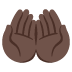 🤲🏿 palms up together: dark skin tone display on Google